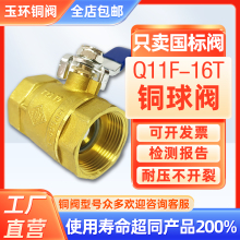 �����S�~���yȫ�~�͸ߜ�Q11F-16Tůͨ�������{HPB59���|һ��6��