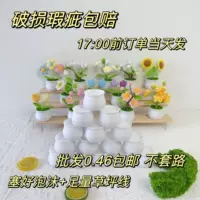 Малый горшок, пластиковый маленький цветочный горшок из пенопласта, новая коллекция, защита от осени