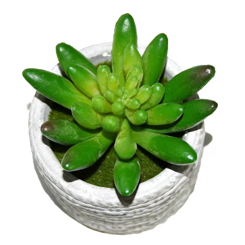 Marco decorativo Planta nórdica colgante de pared decoración de pared colgante de pared tridimensional pared de fondo de planta verde pared cabeza de ciervo simulación suculento planta verde