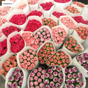�r�����ֱ�l����ܰ����ͬ�����f����ˮ�B������������ĸ�H��