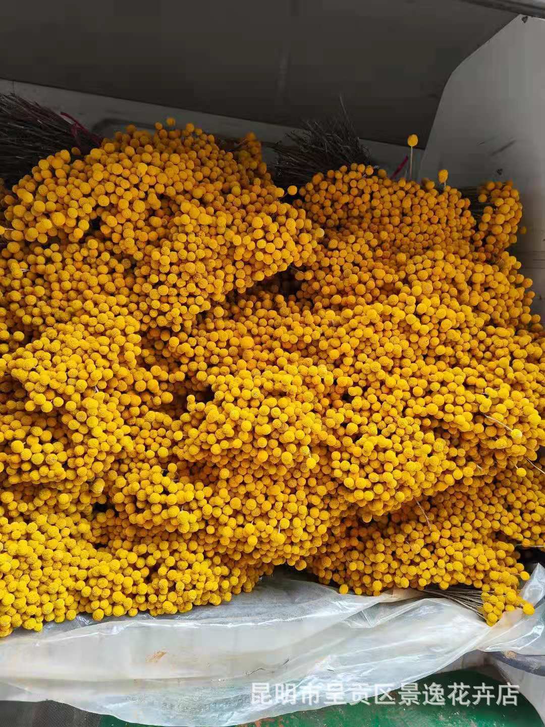 6b3ce3a6c5b8e7cd84a206a05ba7a1