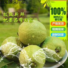 ƷVrtܛŘܛŴʯͼtŘˮSһl