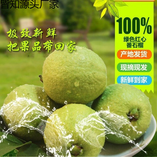 ��Ʒ�V�����r�t��ܛ�Ř�ܛŴ��ʯ�����ͼt�Ř�����ˮ���Sһ�����l