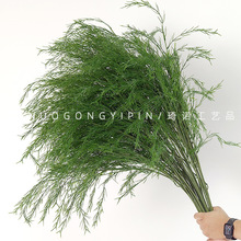 ɭϵ���滨��Y�������÷���Gֲ�J�����JȔ�ݾGɫ�ٻ����滨���l