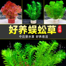 �~��ˮ��ֲ���쾰���ˮ�����ݾG���������ˮ�����־Gֲ�󾰲�