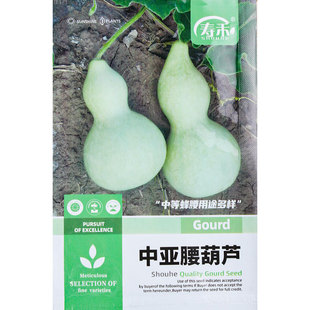 �Ё������J�N�������N�Ӵ�����С��������������С���J�ѷN��ȫ