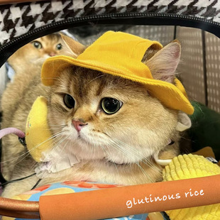 Cat Summer Sun Protection Hat Devon Cowboy Cow Leaking Ear Sun Hat Pet Fisherman Hat Puppy Hood