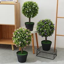 �羳����Gֲ�����b�Ҿ�ͥԺ�����b[���G��С�辰