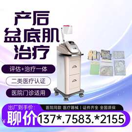 产后盆底康复治疗仪 医用产后治疗仪 产后综合康复治疗仪 厂家