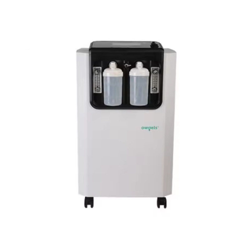 10L Molecular Sieve Oxygen Generator Atomizer Medical Supplies Oxygen Generator Fast Delivery with Atomization Silent Home Use