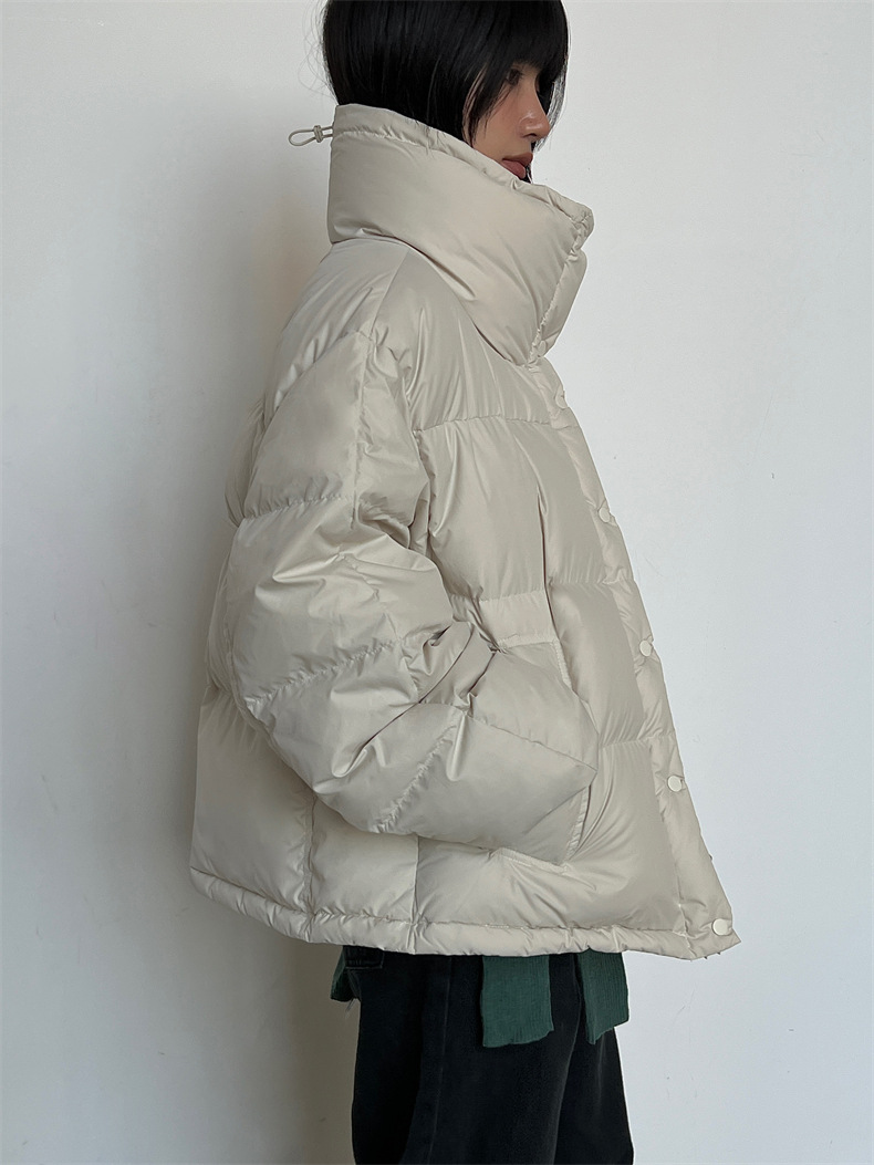 2024-11-26 181228.jpg