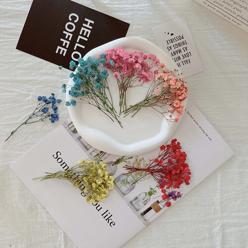 Dried flowers, DIY, embossed, starry sky material bag, photo, petals, bookmarks, real flowers, glue, plant specimens
