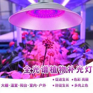 LED energy-saving plant fill light greenhouse strawberry vegetables flowers fruit trees flowers orchid succulent plant growth light