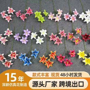 ���滨3�^С�ٺ�õ�tɫ�ٺϻ���Y���߻�c�����b���·������