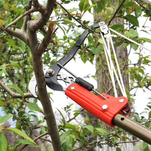 High-altitude pruning tool garden shears, high branch cutter, large opening iron pulley, chestnut tree, fruit tree pruning tool