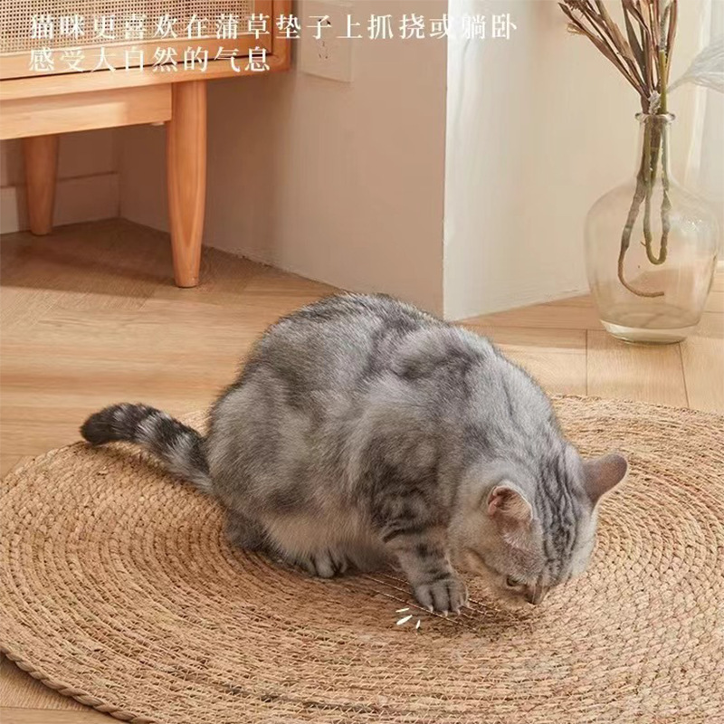 Placa de agarre para gatos Pucao Juguete para gatos grande, resistente al desgaste, resistente al rascado, sin caspa, nido para gatos todo en uno, perrera de cuatro estaciones, cojín para dormir para gatos de ratán