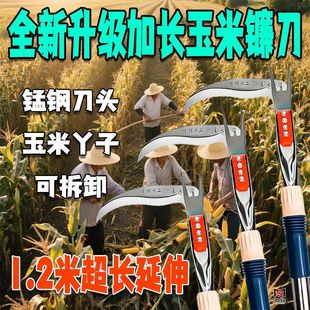 [New Technology] Retractable Corn Picker, Can Be Modified into a Sickle, Manual Corn Picker, Sweet Potato Picker