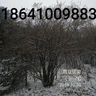 ��l�ʅ�����l��1��10�׸߲�l�ʘ������Ǘ�