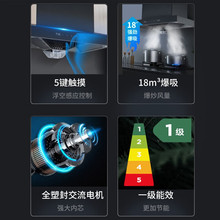 �h�r���l��.�SCXW-300-Y8015�͟��C18�����������������͟��C