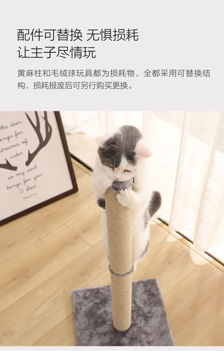 小兽星猫爬柱_06.jpg