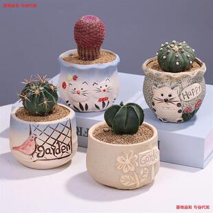 �������҃�С���Ծ�Ʒ�����ƶ���ֲ��ʮ�����k��������Gֲ