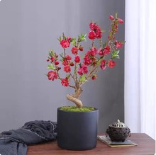 ذһϘ̨҃辰^pһͺB