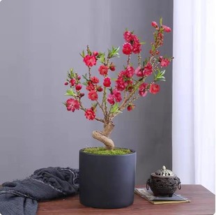 �����ذ��һ�����������Ϙ��҃����̨�辰�����^�p�һ��ͺ����B