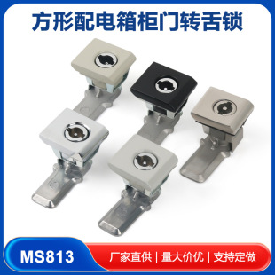 MS813�D���iAE�����D���T�i ��𹤘I�T�i���P��T�i�����늙��i