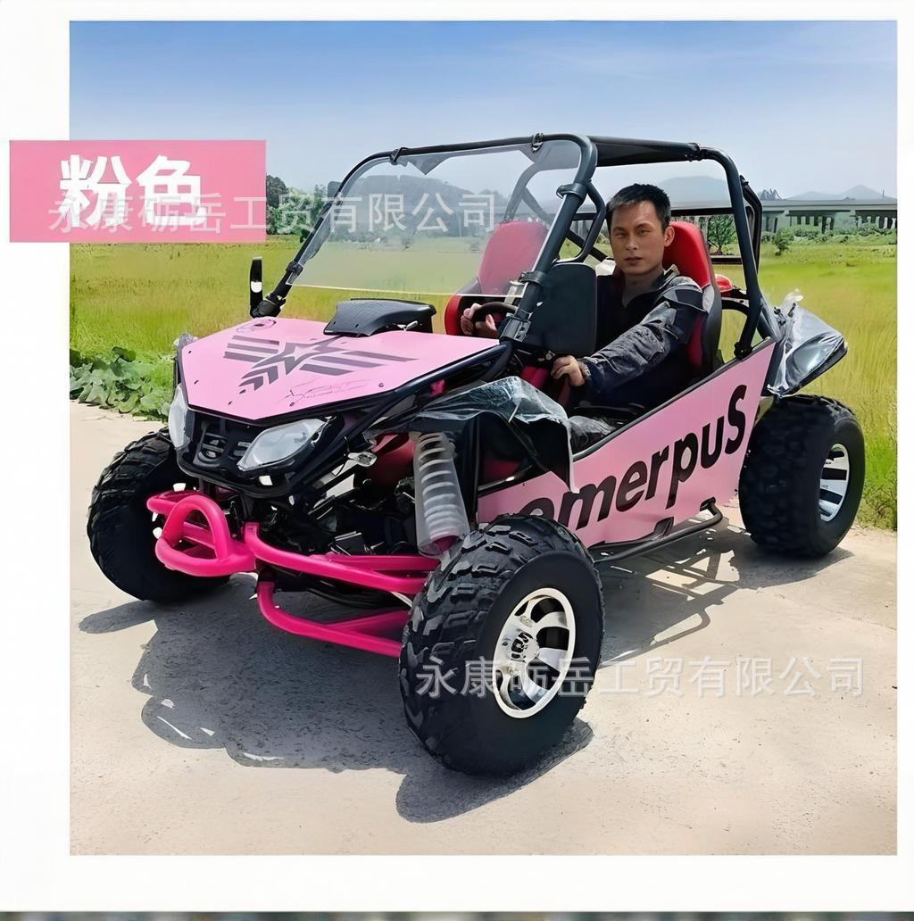 Los fabricantes personalizan el kart todoterreno biplaza 200cc suspensión independiente ATV grande 4 ruedas tracción en las cuatro ruedas kart