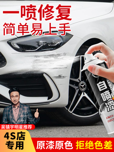 Pulu Car Self-Painting Paint Scratch Pearl White Black Metal Silver Touch-Up Pen Anti-Rust