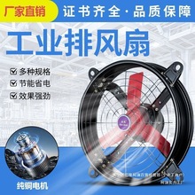 ���I�����S�Bֳ���ش���Nֲ���ş����m���،������L�ȏ������L�C