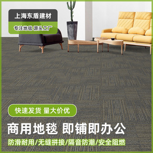 Manufacturer Supplies Cinema Carpets, Ktv Bar Leisure Area Full-Cover Roll Mats, Office Floor Mats for Commercial Use