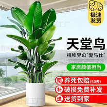 B҃ȴQmԿ͏d·ȩļB~l