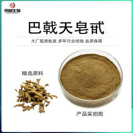 巴戟天皂甙80%植物提取浓缩粉巴戟天粉厂家正品食品级巴戟天皂苷