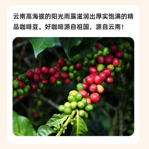 Cold brew capsule coffee espresso small can coffee cup American freeze-dried black coffee instant black coffee wholesale