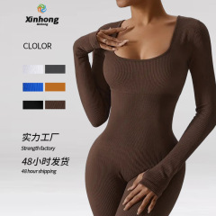 欧米の国境を越えた女性のワンピースの長いヨガのジャンプスーツの袖の襟の運動のジャンプスーツの修身の形のジャンプスーツ