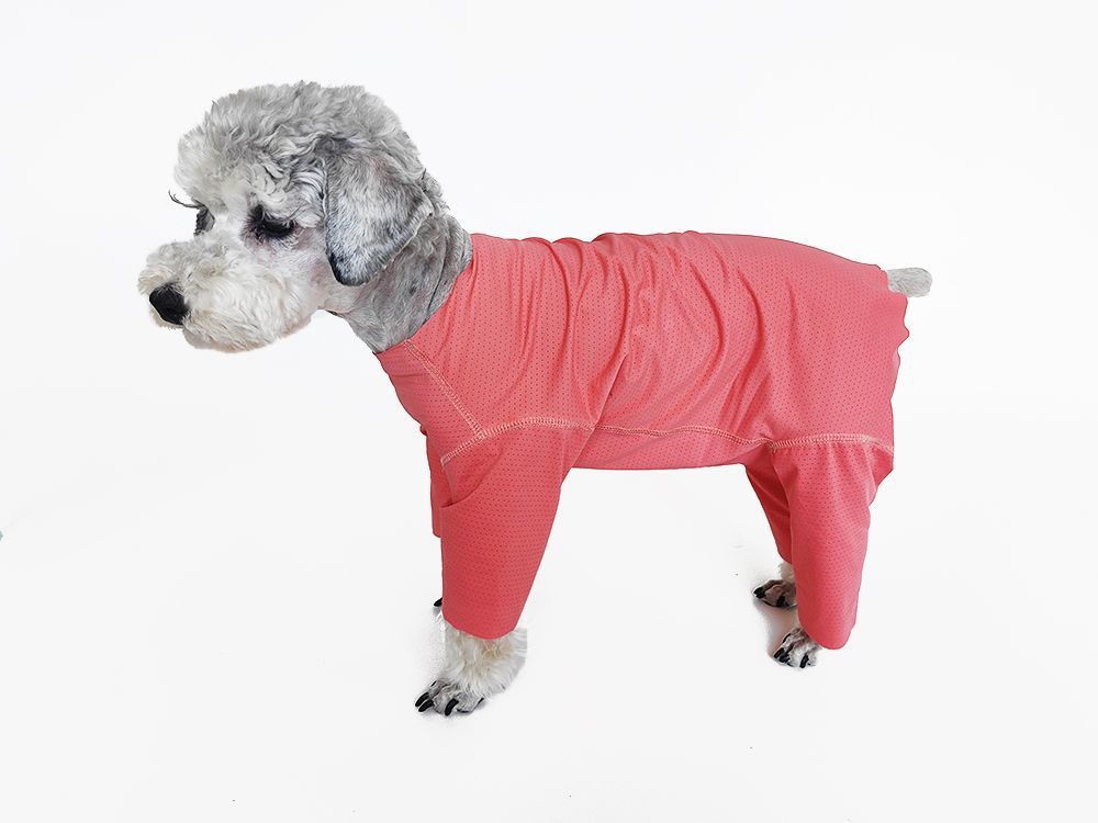 Svalkande hundklänning för bichon solskydd och insektskydd_voghion.com