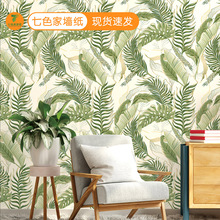 3dWGɫֲӺpvcƵҿ͏dɳlڼֹˇƷ