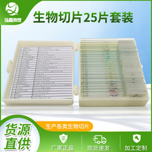 �F؛�����C�Ϻ��b������Ƭ �@΢��Ƭ �@΢�R���������b��Ƭ25Ƭ