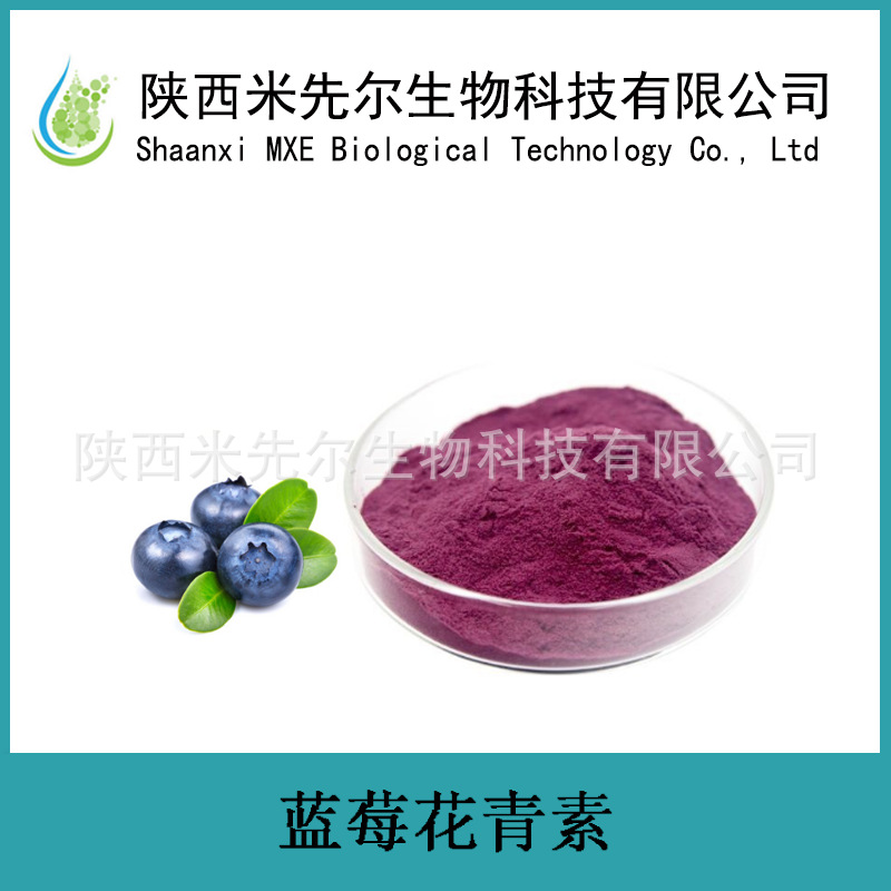 蓝莓花青素25% 水溶 蓝莓果粉 固体饮料代餐粉