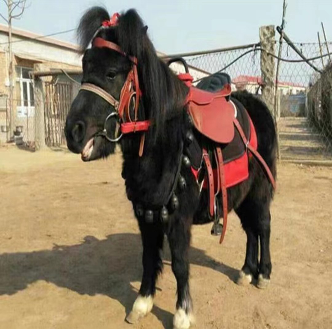 微信图片_20230430120017