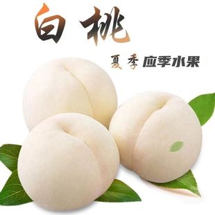 山东蒙阴奶油大白桃脆桃白玉桃脆甜毛桃水蜜桃新鲜应季水果-阿里巴巴