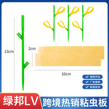 ¿F؛QճxճxlƬزSɫNxxT