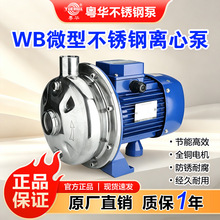 粤华WB200/075-P 不锈钢卫生食品泵啤酒泵透析液医药泵冲洗增压泵