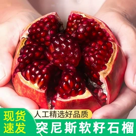 块茎类;梨;其他水果