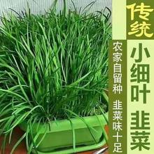 �F���¾²˸�����²�С�~�²˸�����Ʒ�N�ϼt�����~�����̨����