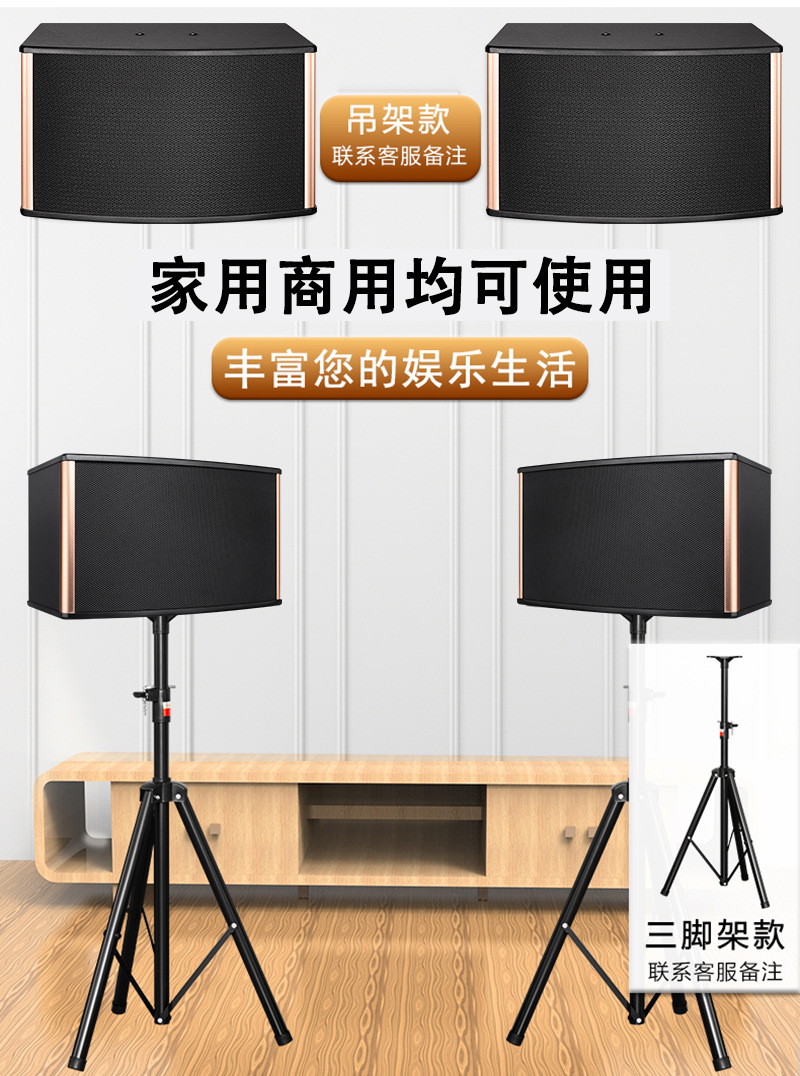 10 Inch Home Entertainment Audio Home Theater Kara Singing Audio Stage Meeting Room Audio
