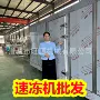 低温新款速冻稳定速冻机