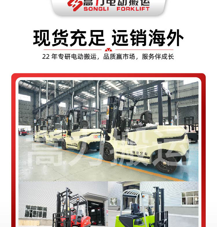 双起升堆高车   (9).jpg