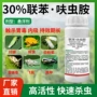 白粉虱果树茶小绿叶蝉